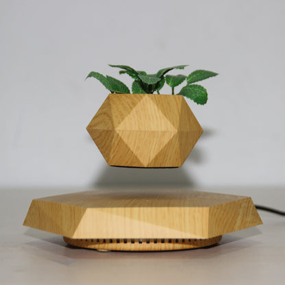 Floating Magnetic Flower Pot – Levitating Plant Holder for Desk