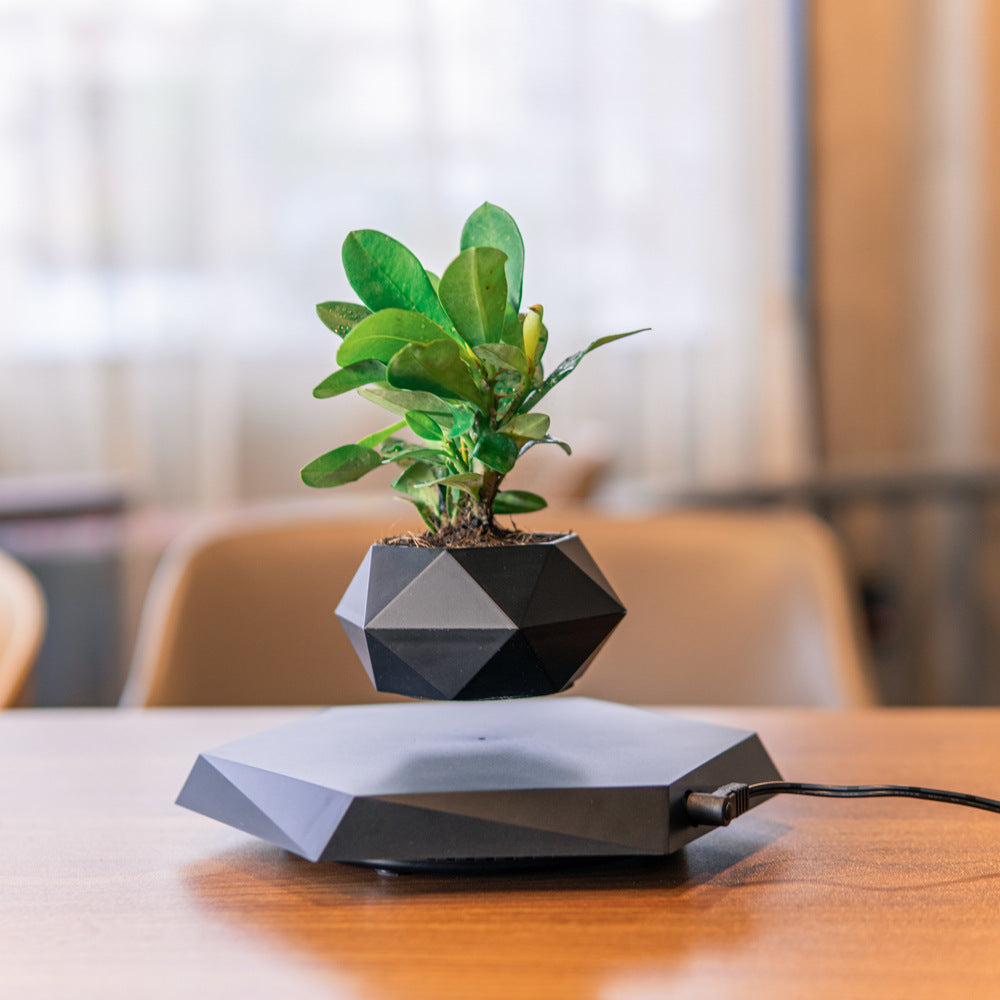 Floating Magnetic Flower Pot – Levitating Plant Holder for Desk
