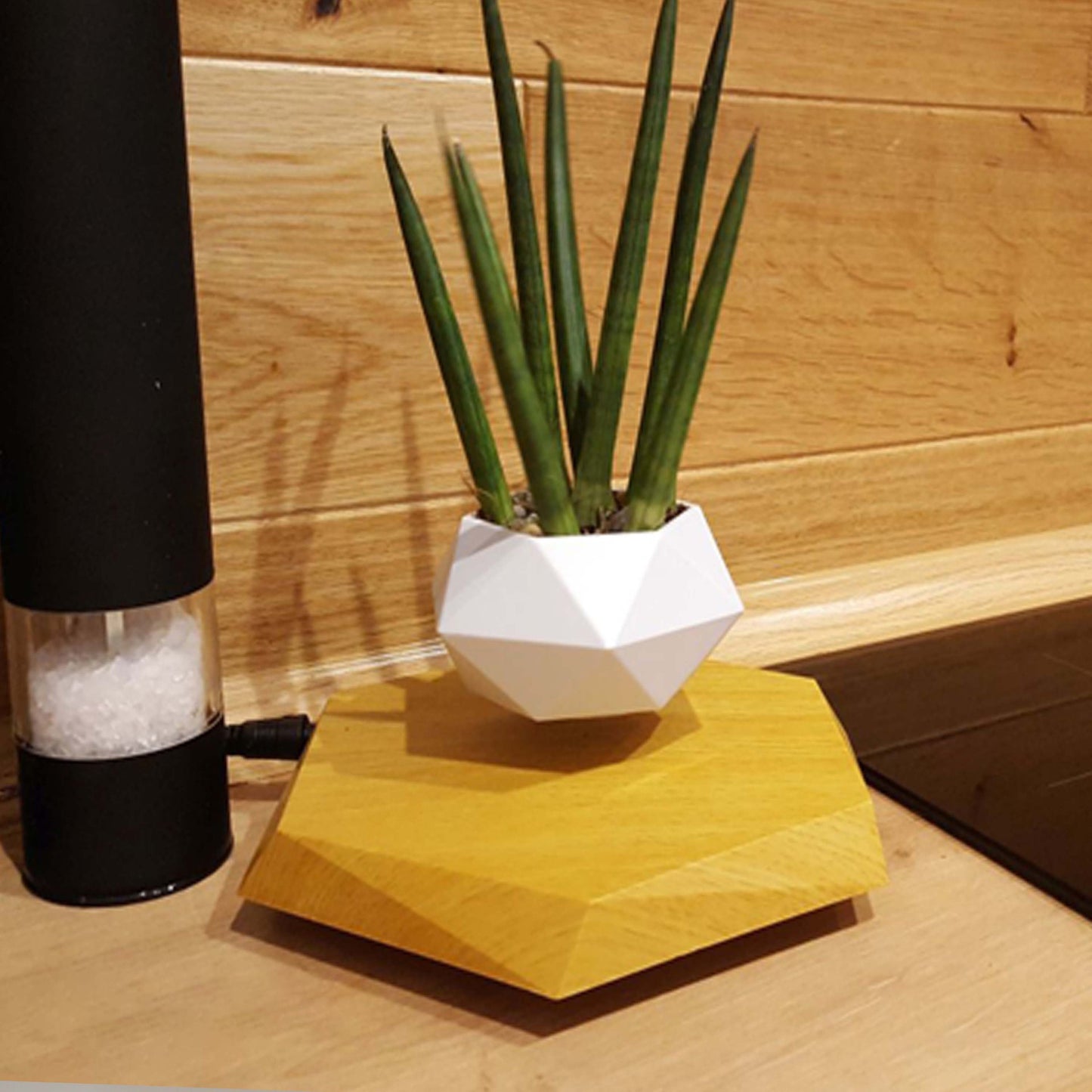 Floating Magnetic Flower Pot – Levitating Plant Holder for Desk