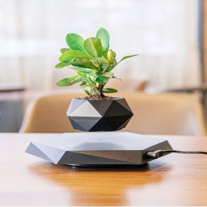 Floating Magnetic Flower Pot – Levitating Plant Holder for Desk