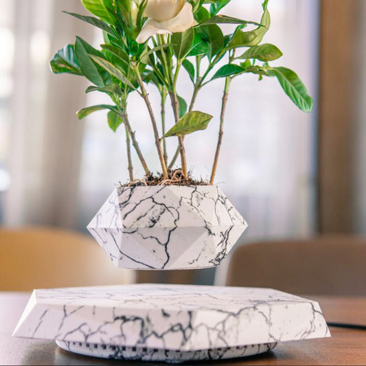 Floating Magnetic Flower Pot – Levitating Plant Holder for Desk